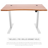 Electric Starter Desk with Easy Up-Down Controls