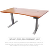 Programmable Dual Motor Electric Standing Desk