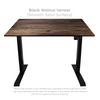 Electric Starter Desk with Easy Up-Down Controls