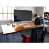 Electric Starter Desk with Easy Up-Down Controls
