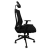 Ergonomic High-Back Office Chair