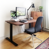 Programmable Dual Motor Electric Standing Desk