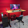 Programmable Dual Motor Electric Standing Desk