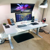 Programmable Dual Motor Electric Standing Desk