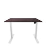 Electric Starter Desk with Easy Up-Down Controls